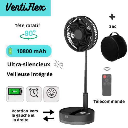 Ventilateur noir+ sac de transport