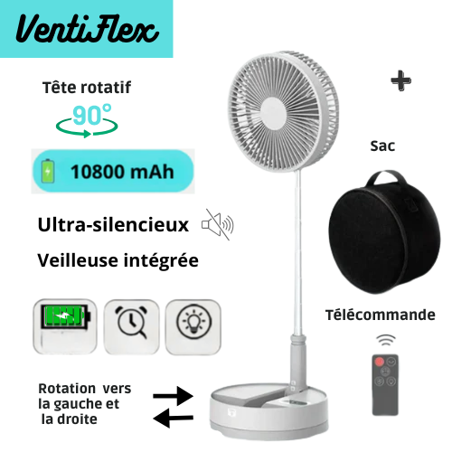 Ventilateur blanc+ sac de transport