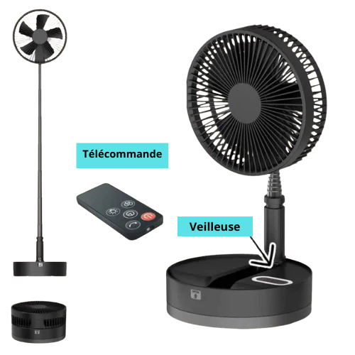 Ventilateur noir+ sac de transport