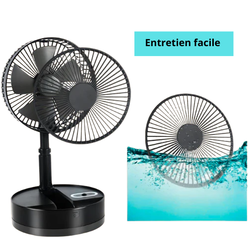 Ventilateur noir+ sac de transport