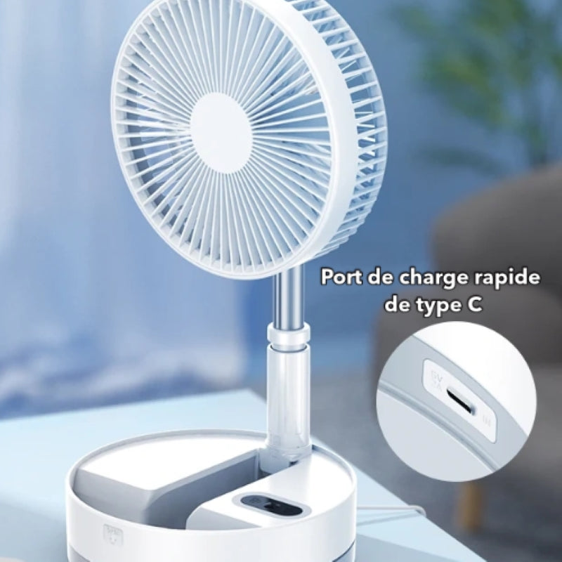 Ventilateur blanc+ sac de transport