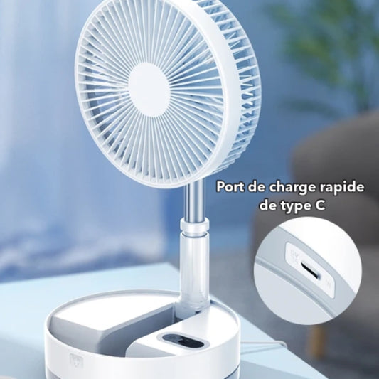 Ventilateur blanc+ sac de transport